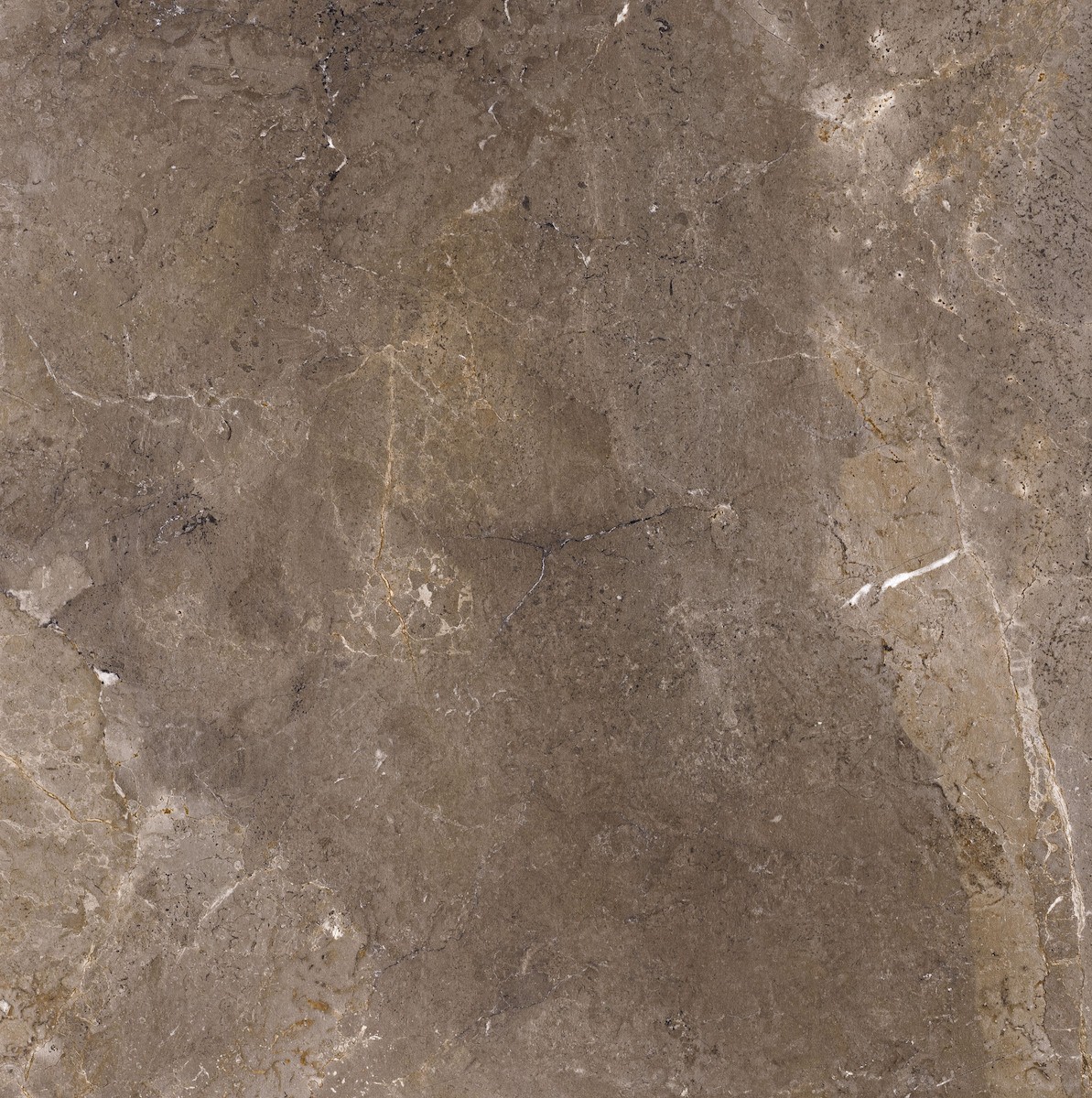 Dlažba Porcelaingres Royal Stone imperial brown 100x100 cm mat X1010383X6 Porcelaingres