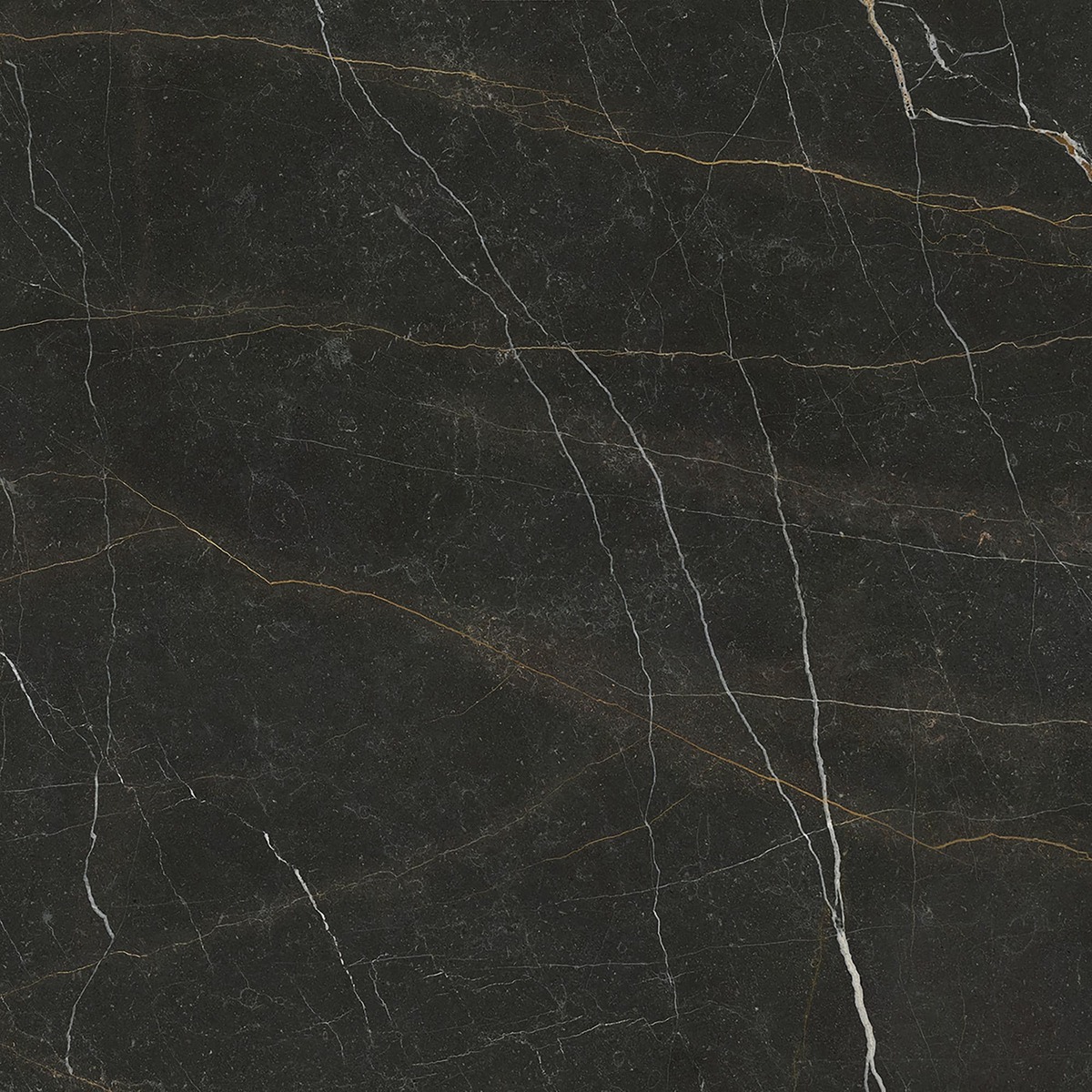 Dlažba Argenta Gold Nero 120x120 cm lesk GOLDNERO120 Argenta