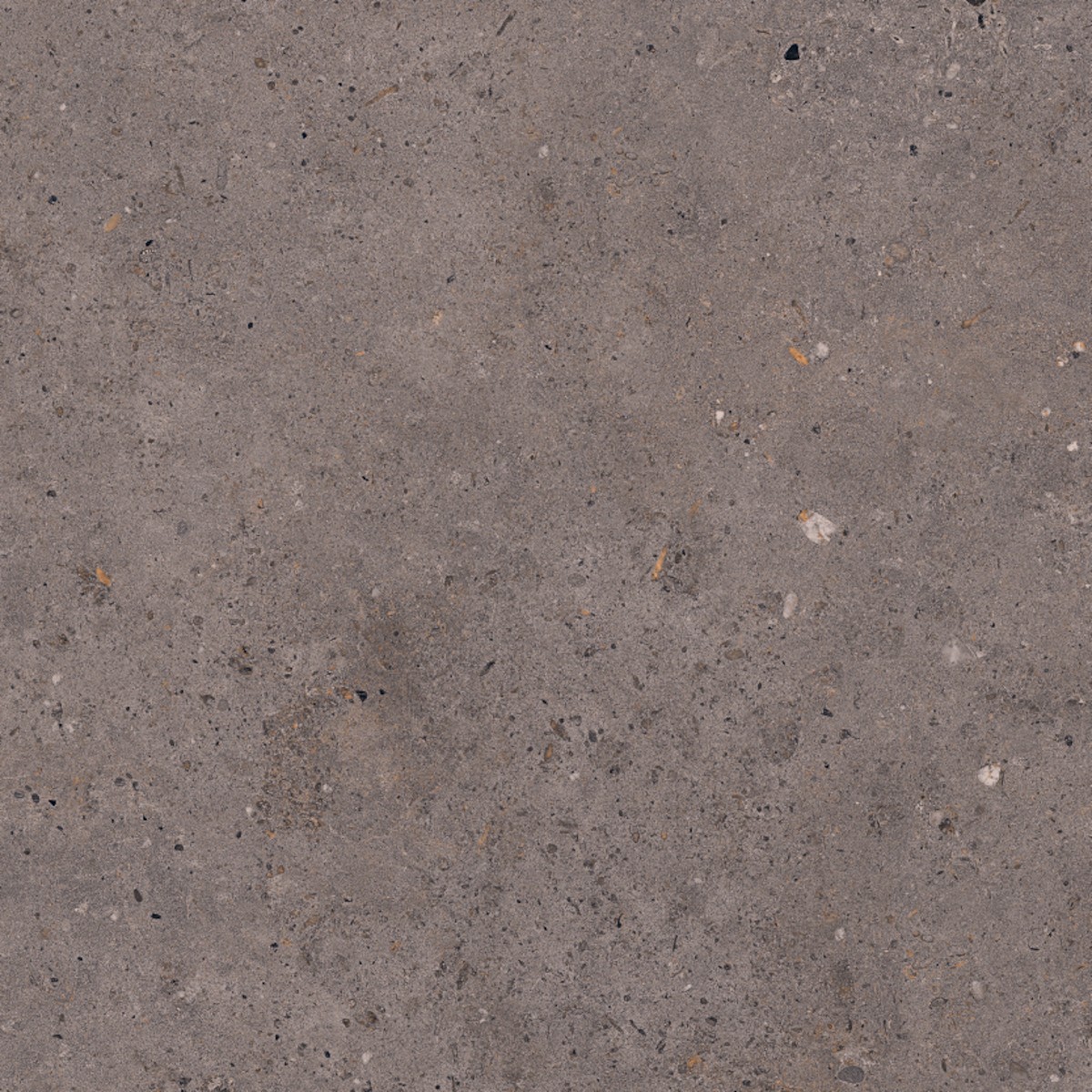 Dlažba Pastorelli Biophilic dark grey 60x60 cm mat P009456 NO BRAND