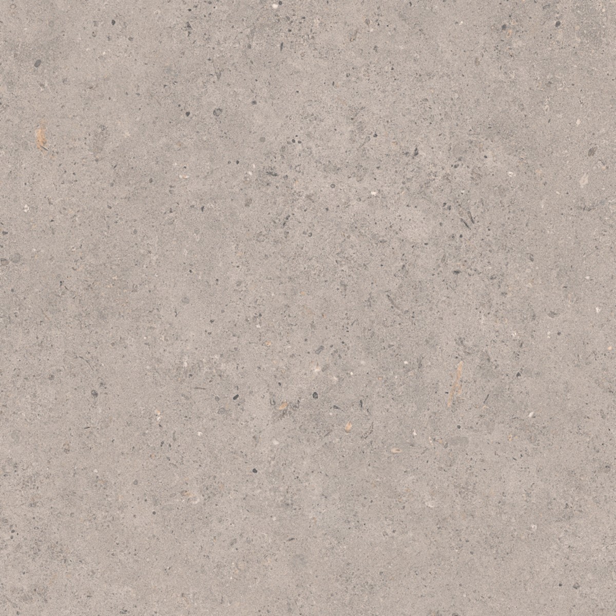 Dlažba Pastorelli Biophilic grey 60x60 cm mat P009459 NO BRAND